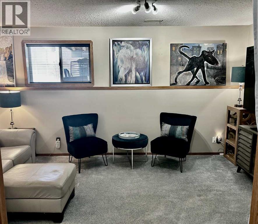 52 Cambridge Glen Drive, Strathmore, Alberta  T1P 1N3 - Photo 19 - A2282528