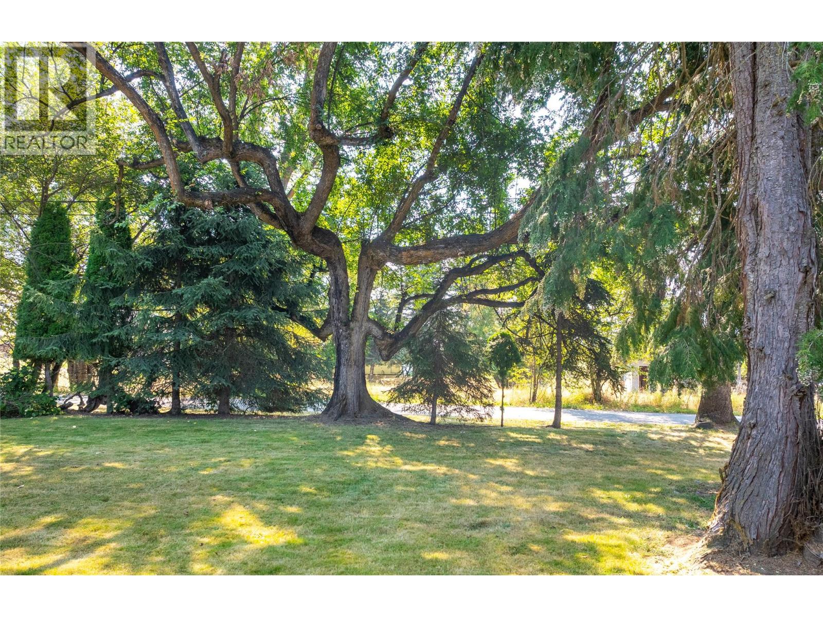 4580 44th Street, Canyon, British Columbia  V0B 1C1 - Photo 3 - 10382488