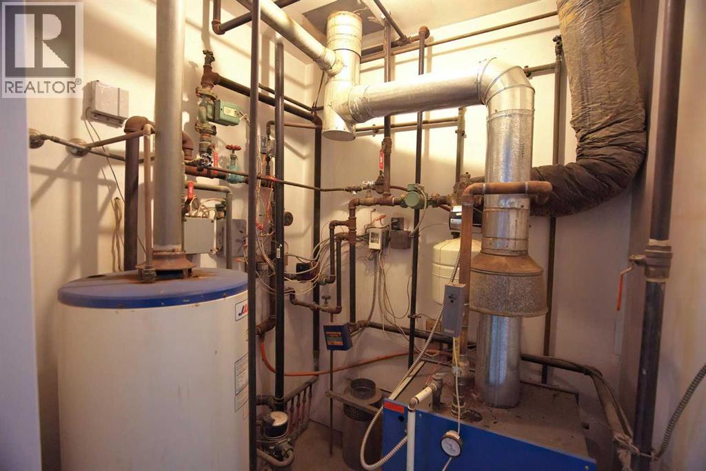 4205 51 A Street, Killam, Alberta  T0B 2L0 - Photo 15 - A2172705