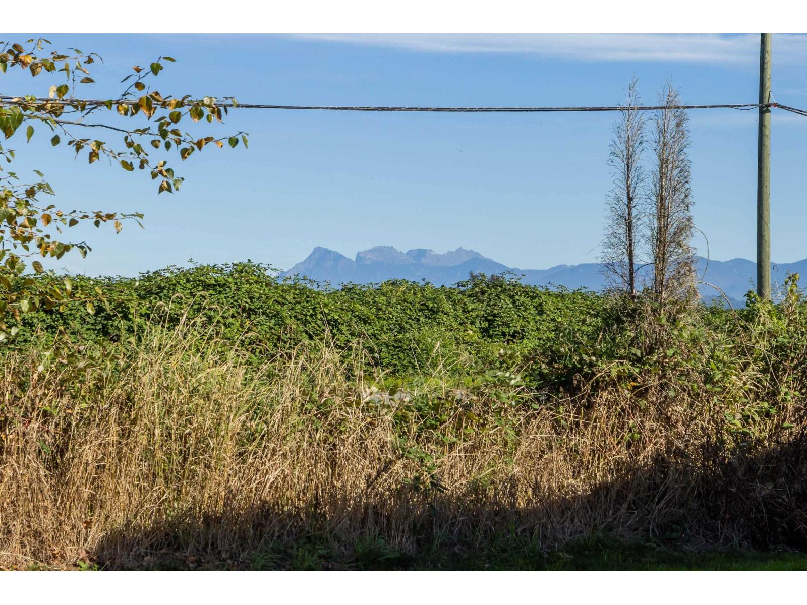 9183 Sylvester Road, Mission, British Columbia  V2V 7K6 - Photo 40 - R3107930