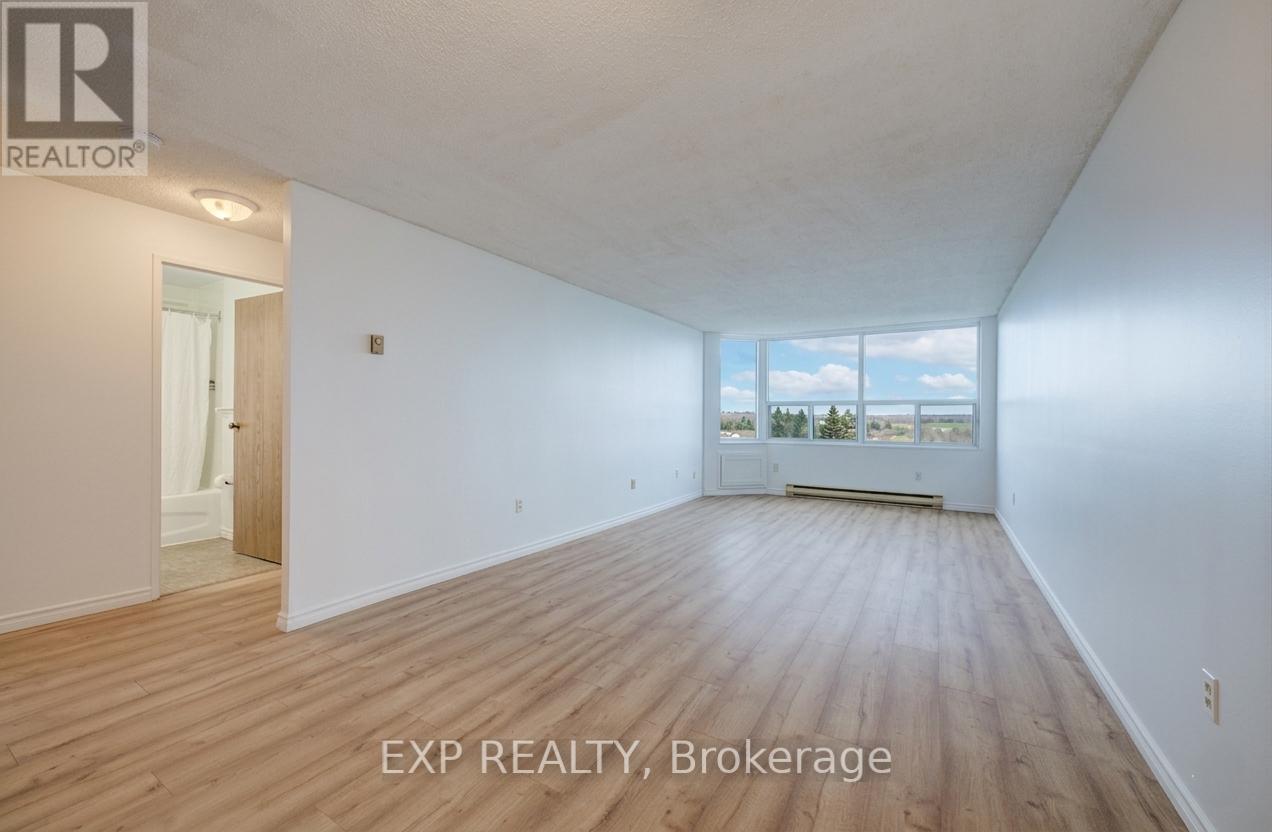 1107 - 55 Green Valley Drive, Kitchener, Ontario  N2P 1Z6 - Photo 4 - X12968088