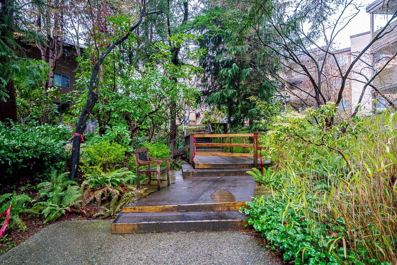 208 10644 151a Street, Surrey, British Columbia  V3R 8R3 - Photo 37 - R3106955