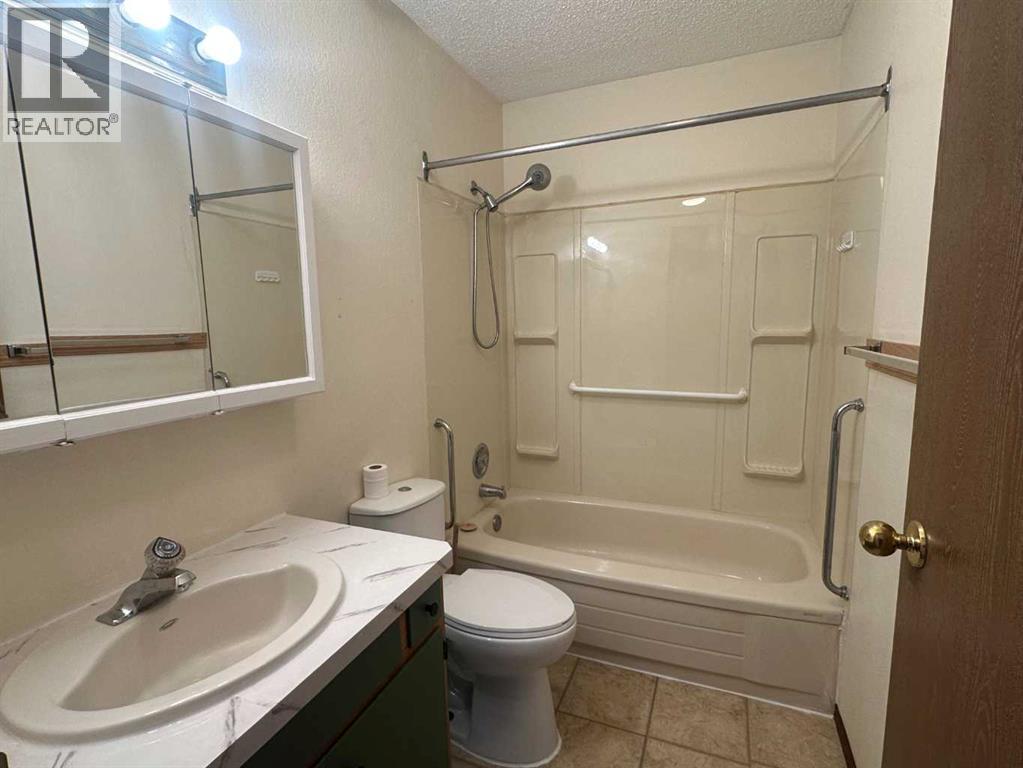 5119 51 Ave, Caroline, Alberta  T0M 1M0 - Photo 16 - A2262816