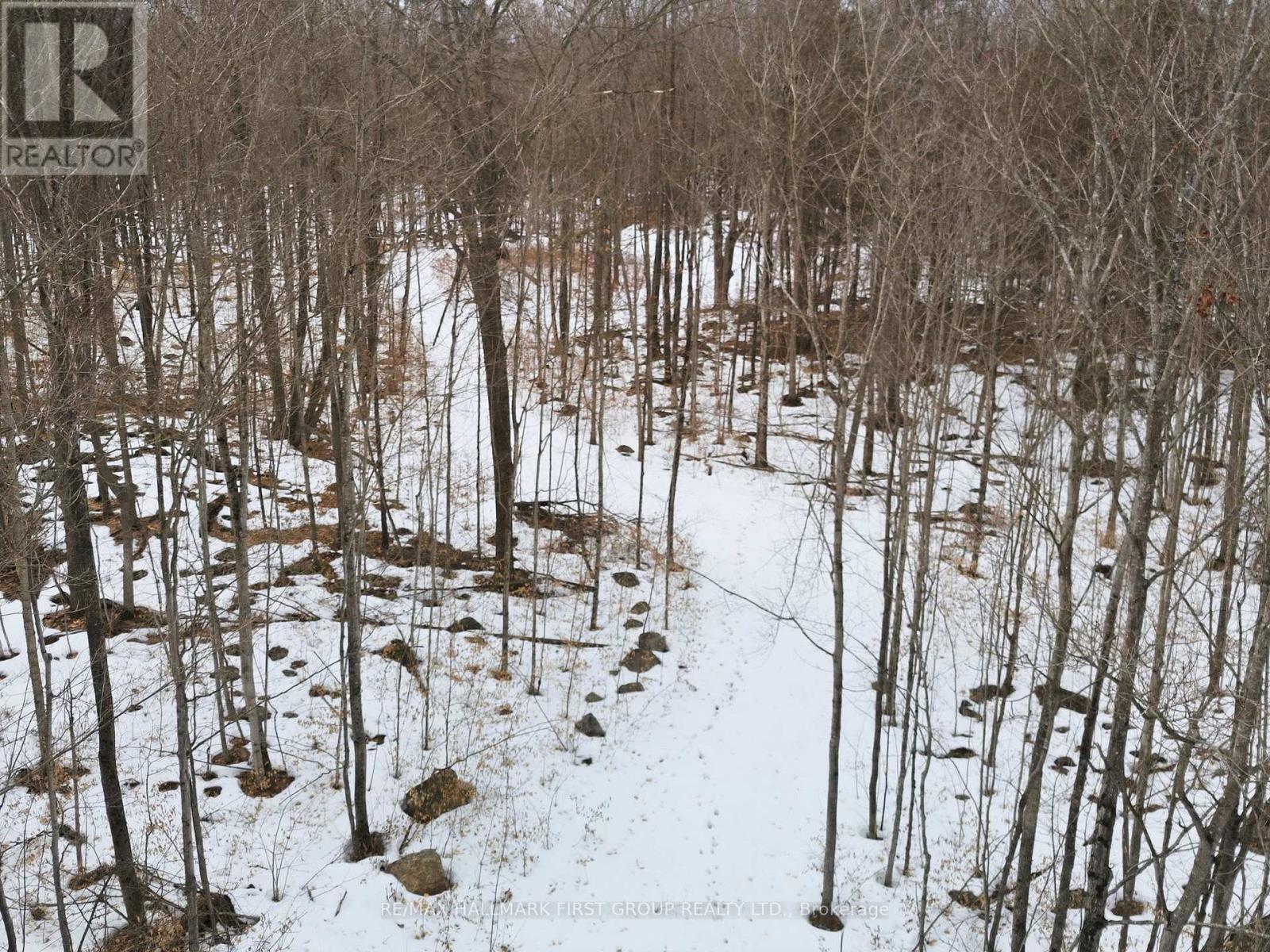 Pt Lt 34 Dennison Road, Tweed, Ontario K0K 2L0 - Photo 17 - X12968286