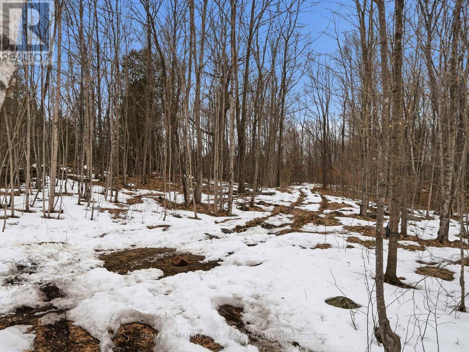 Pt Lt 34 Dennison Road, Tweed, Ontario K0K 2L0 - Photo 18 - X12968286