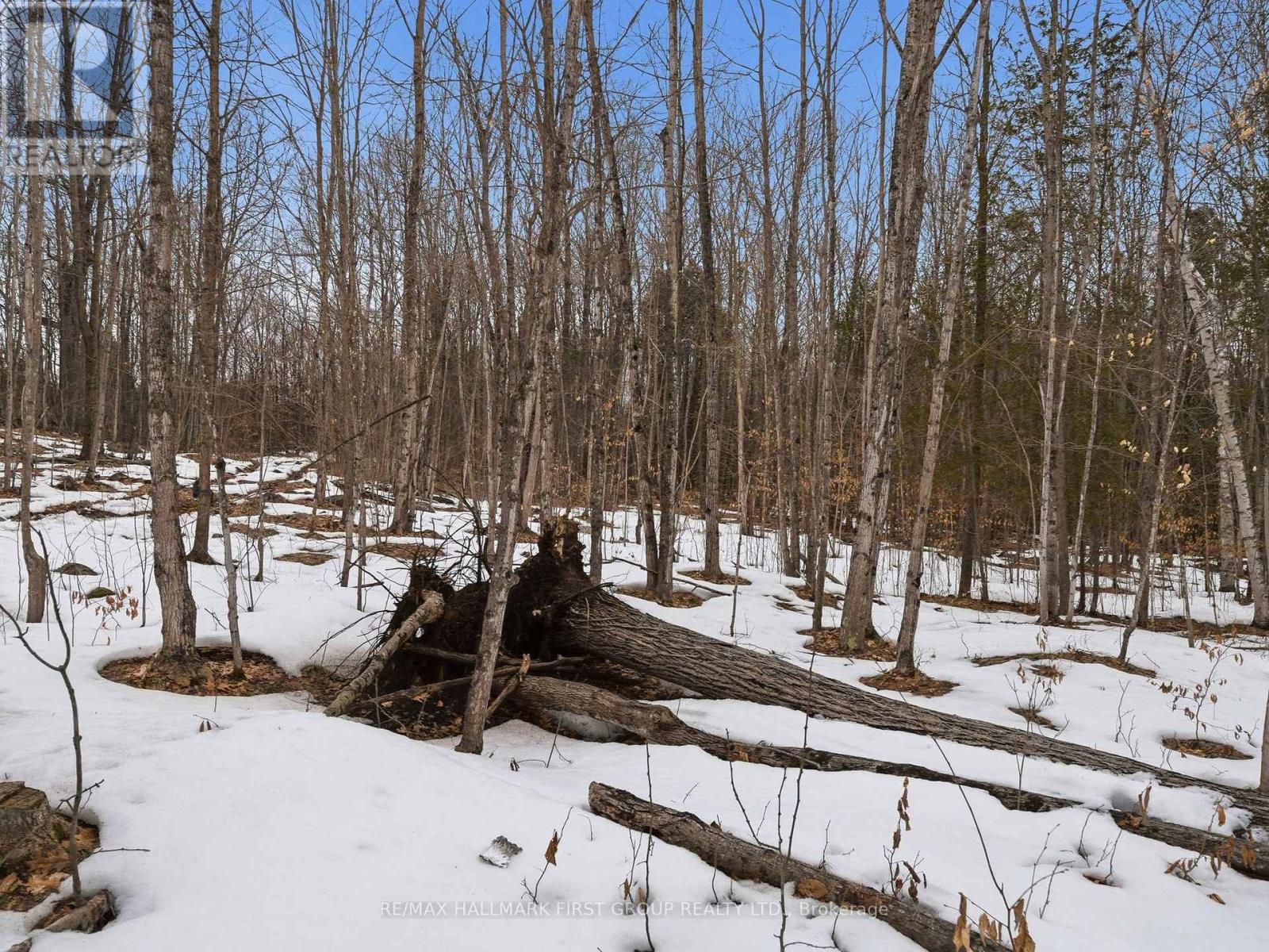 Pt Lt 34 Dennison Road, Tweed, Ontario K0K 2L0 - Photo 19 - X12968286