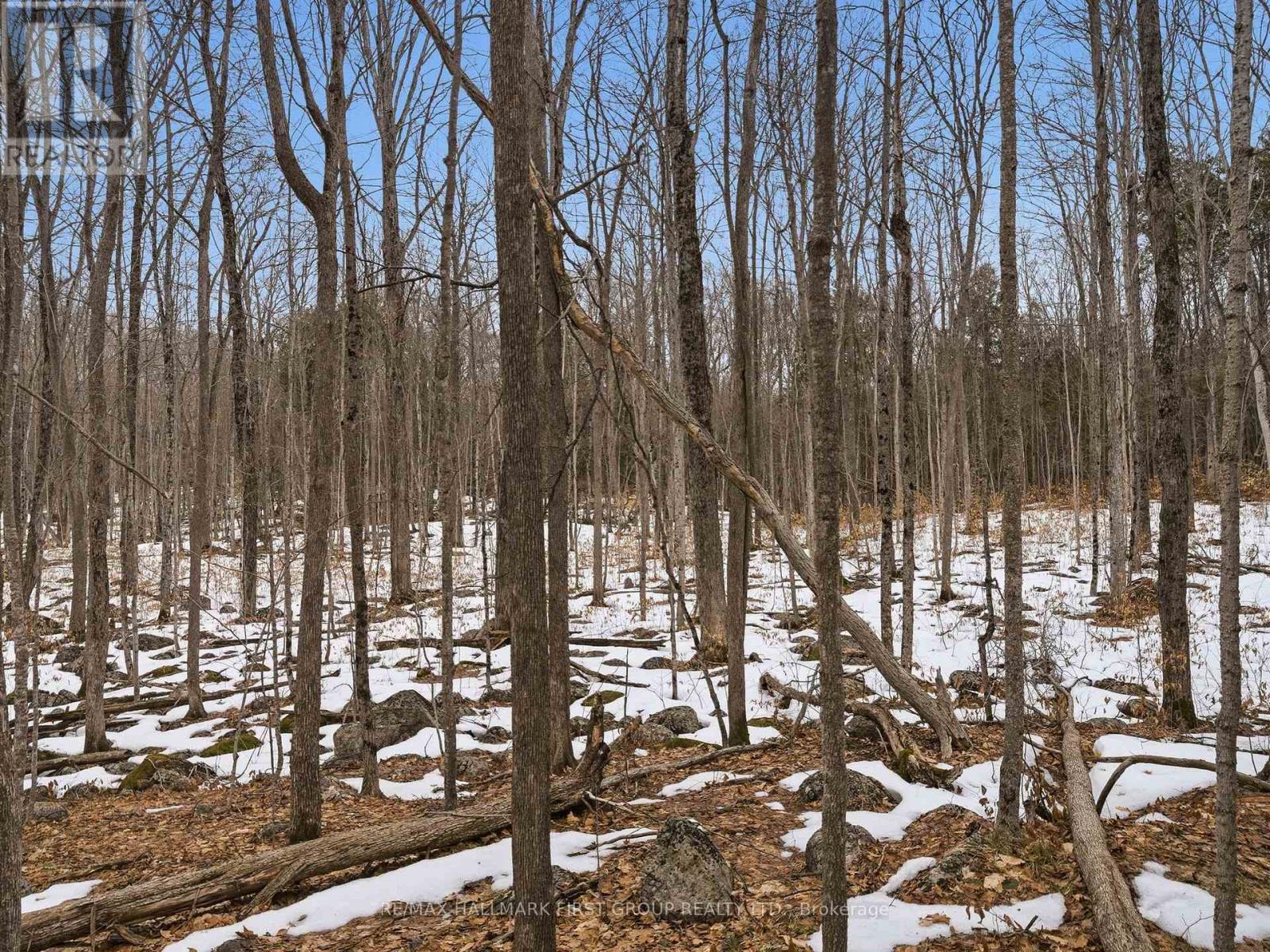 Pt Lt 34 Dennison Road, Tweed, Ontario K0K 2L0 - Photo 20 - X12968286