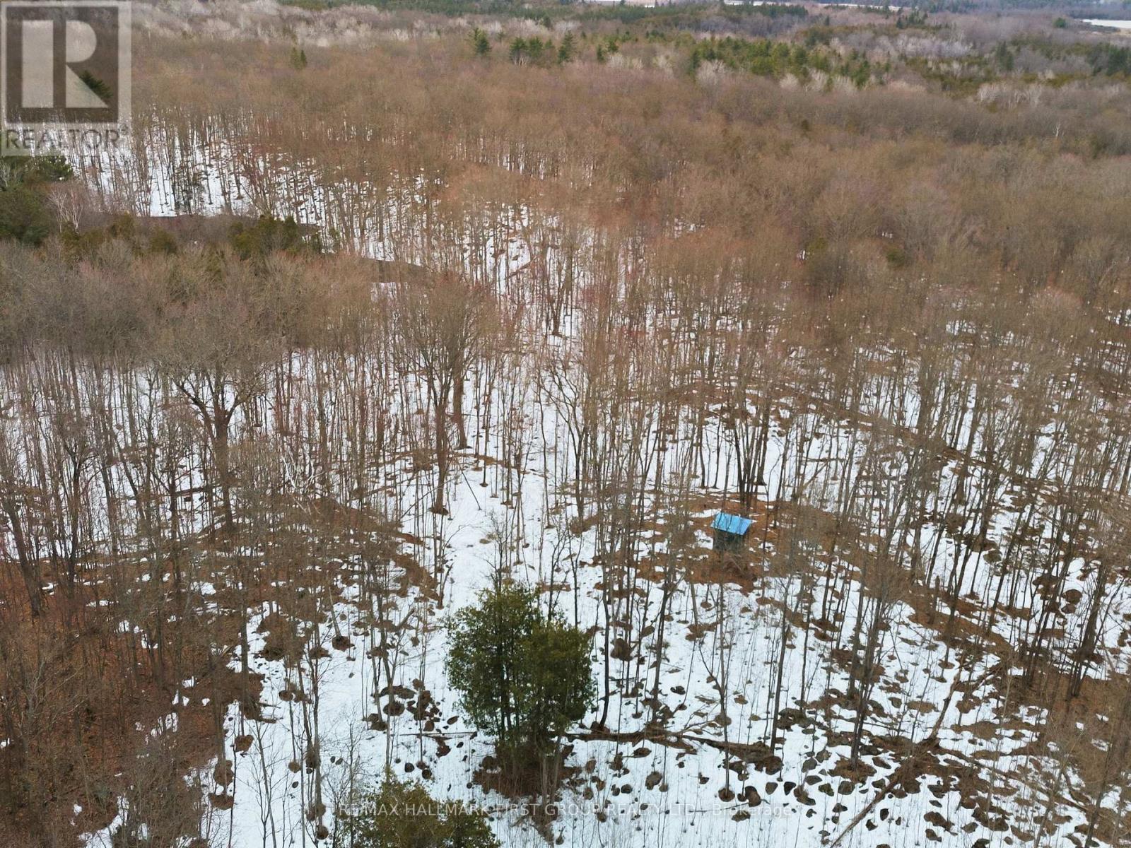 Pt Lt 34 Dennison Road, Tweed, Ontario K0K 2L0 - Photo 21 - X12968286