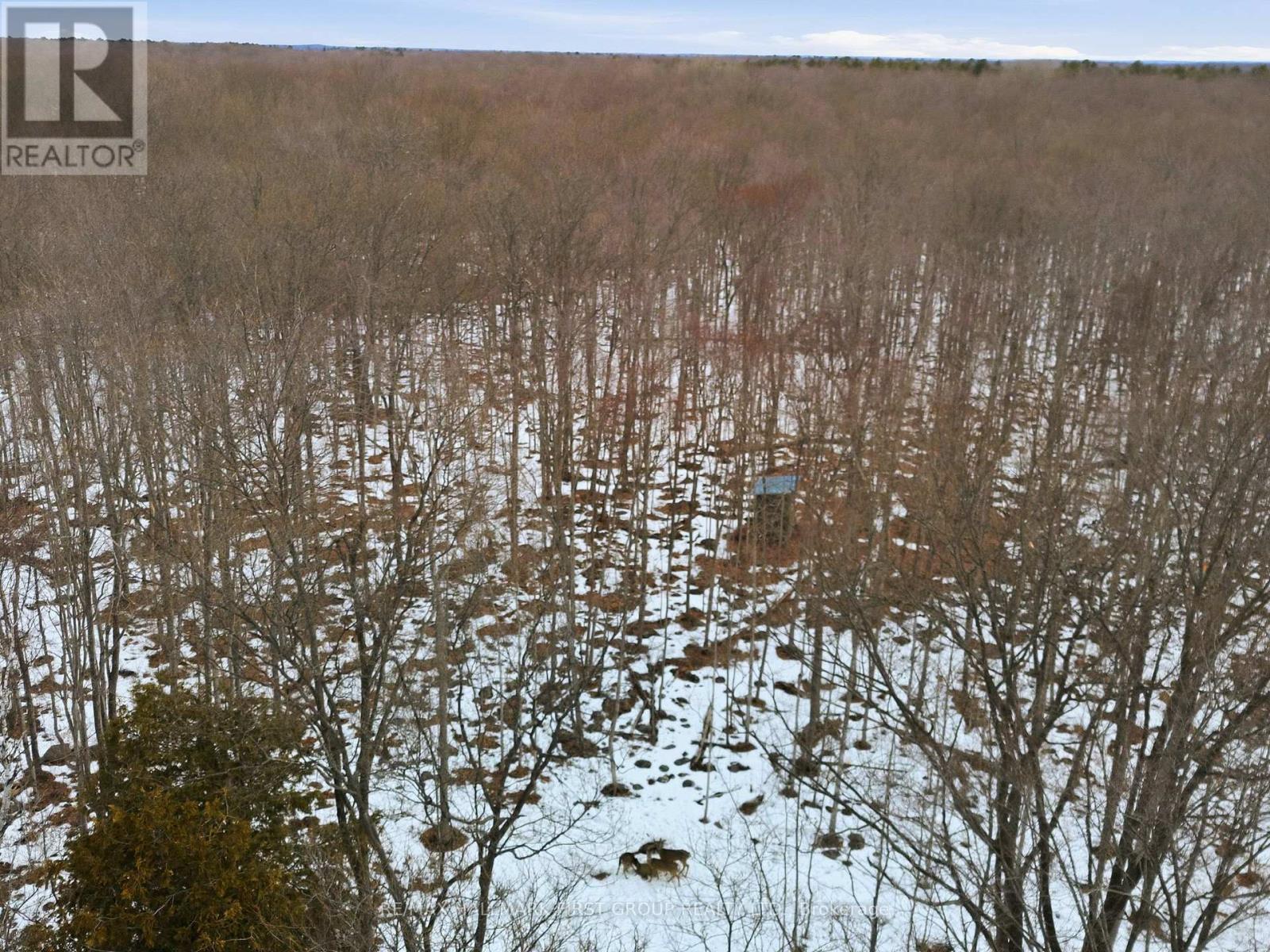 Pt Lt 34 Dennison Road, Tweed, Ontario K0K 2L0 - Photo 22 - X12968286