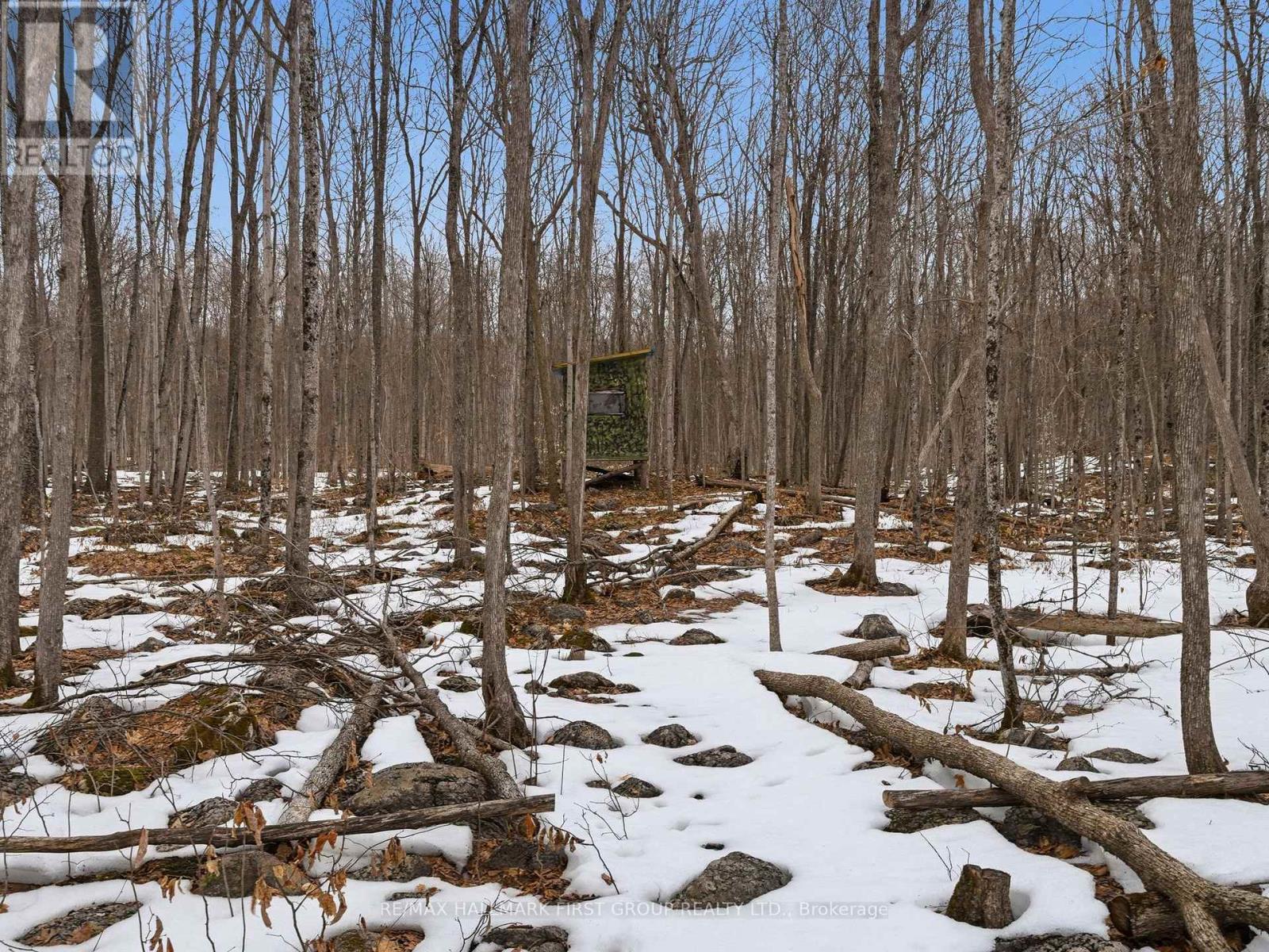 Pt Lt 34 Dennison Road, Tweed, Ontario K0K 2L0 - Photo 25 - X12968286