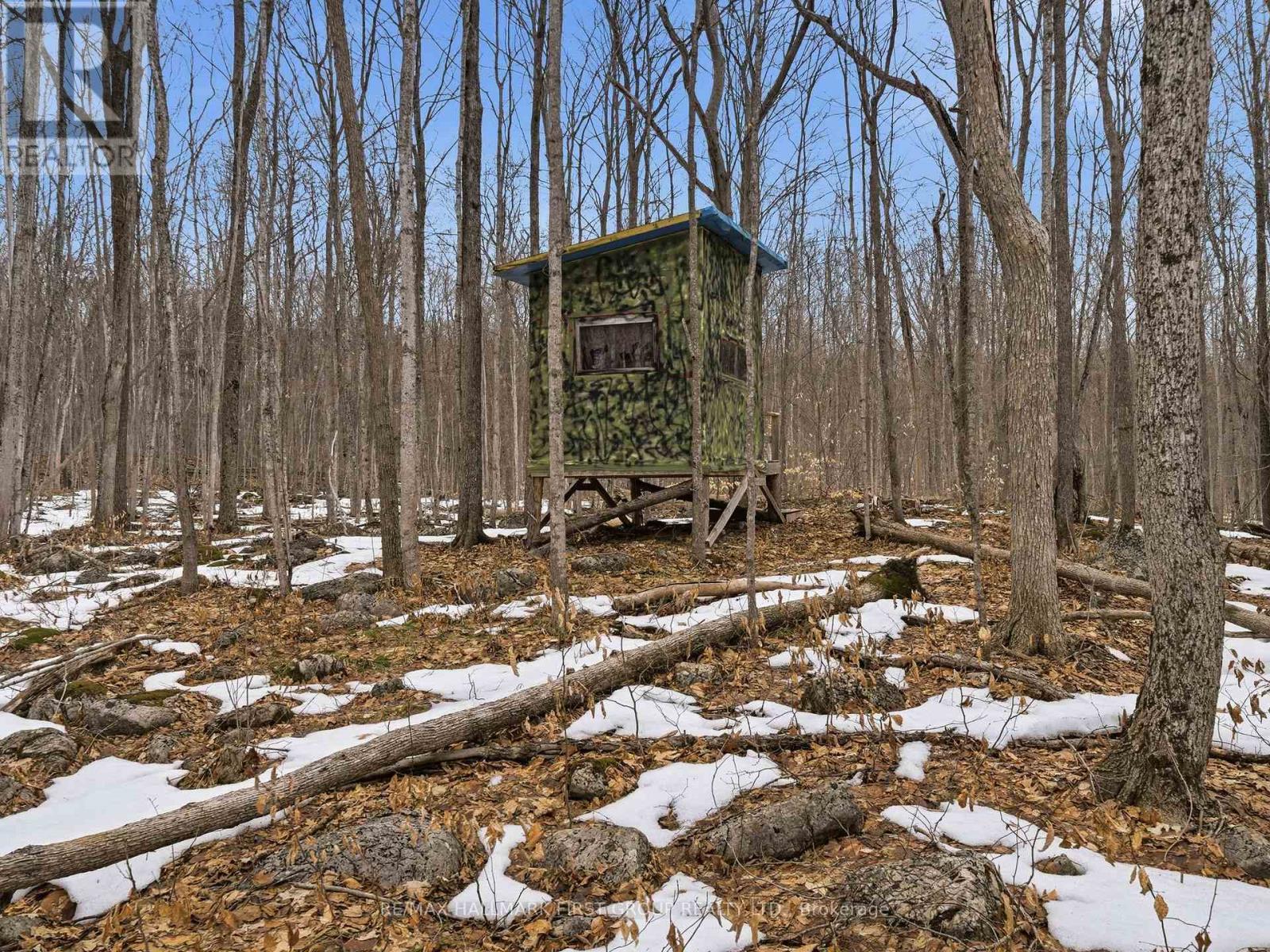 Pt Lt 34 Dennison Road, Tweed, Ontario K0K 2L0 - Photo 26 - X12968286