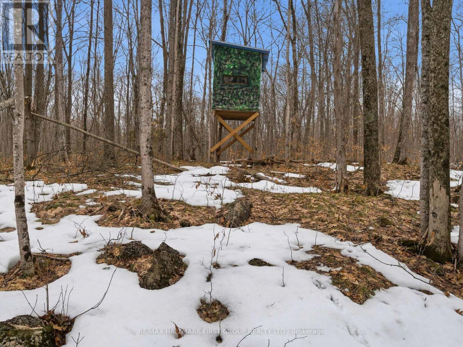 Pt Lt 34 Dennison Road, Tweed, Ontario K0K 2L0 - Photo 27 - X12968286