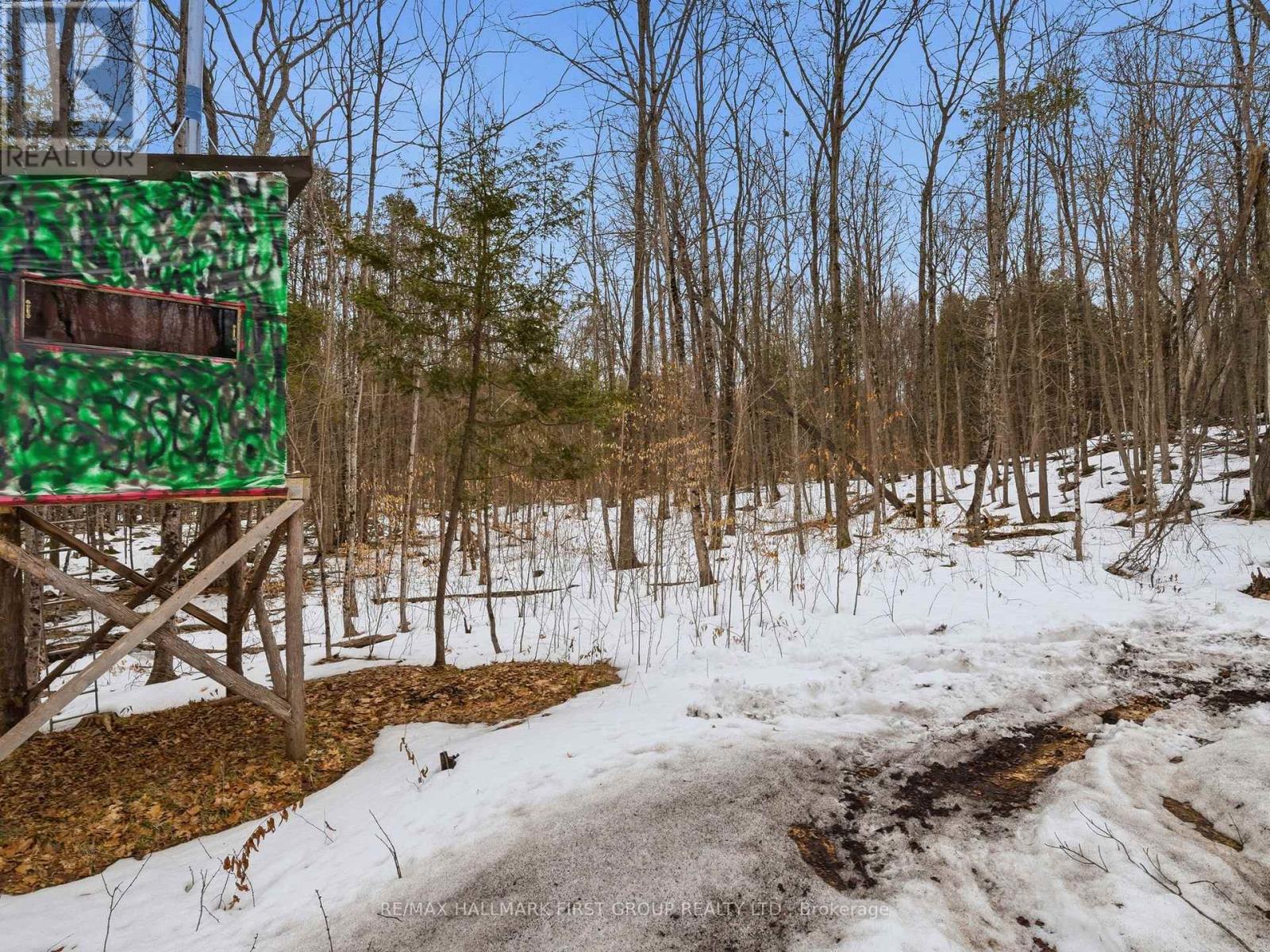 Pt Lt 34 Dennison Road, Tweed, Ontario K0K 2L0 - Photo 30 - X12968286