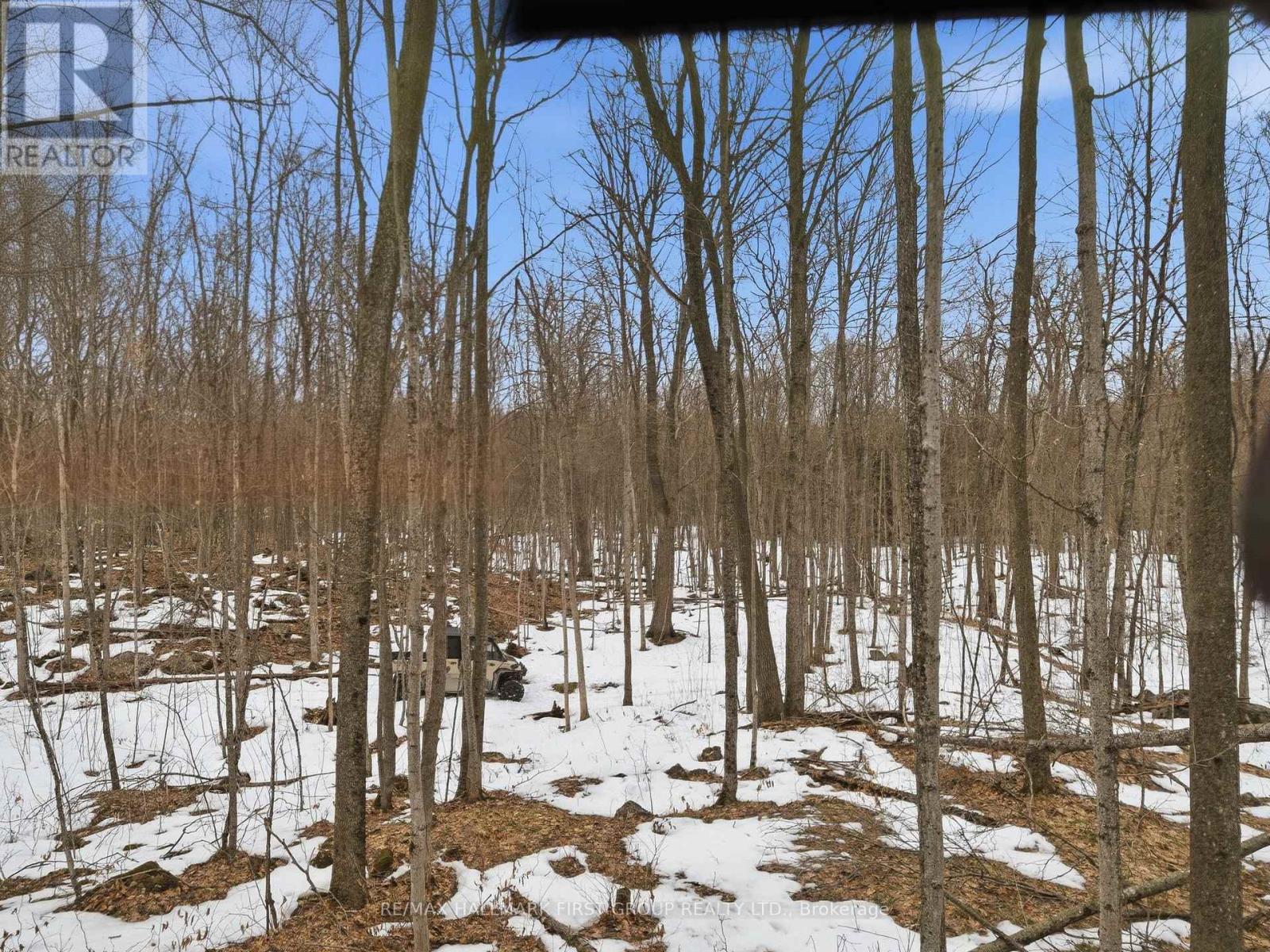 Pt Lt 34 Dennison Road, Tweed, Ontario K0K 2L0 - Photo 33 - X12968286