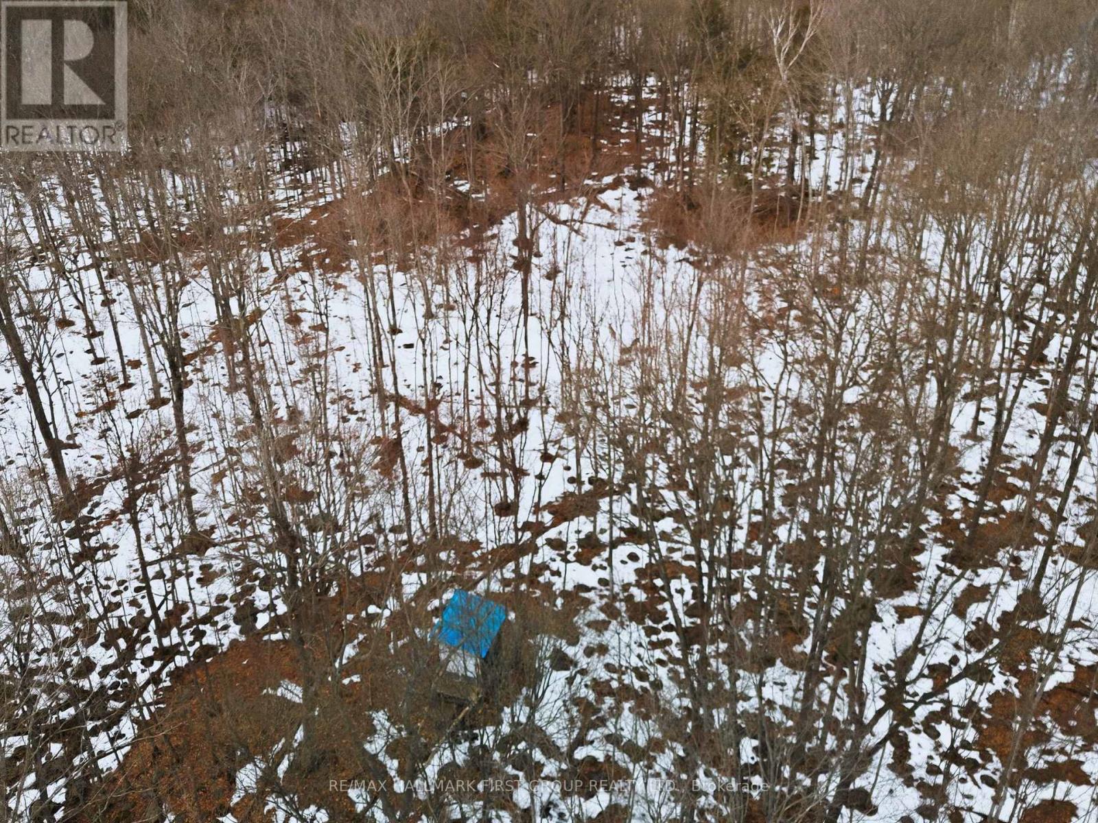 Pt Lt 34 Dennison Road, Tweed, Ontario K0K 2L0 - Photo 34 - X12968286