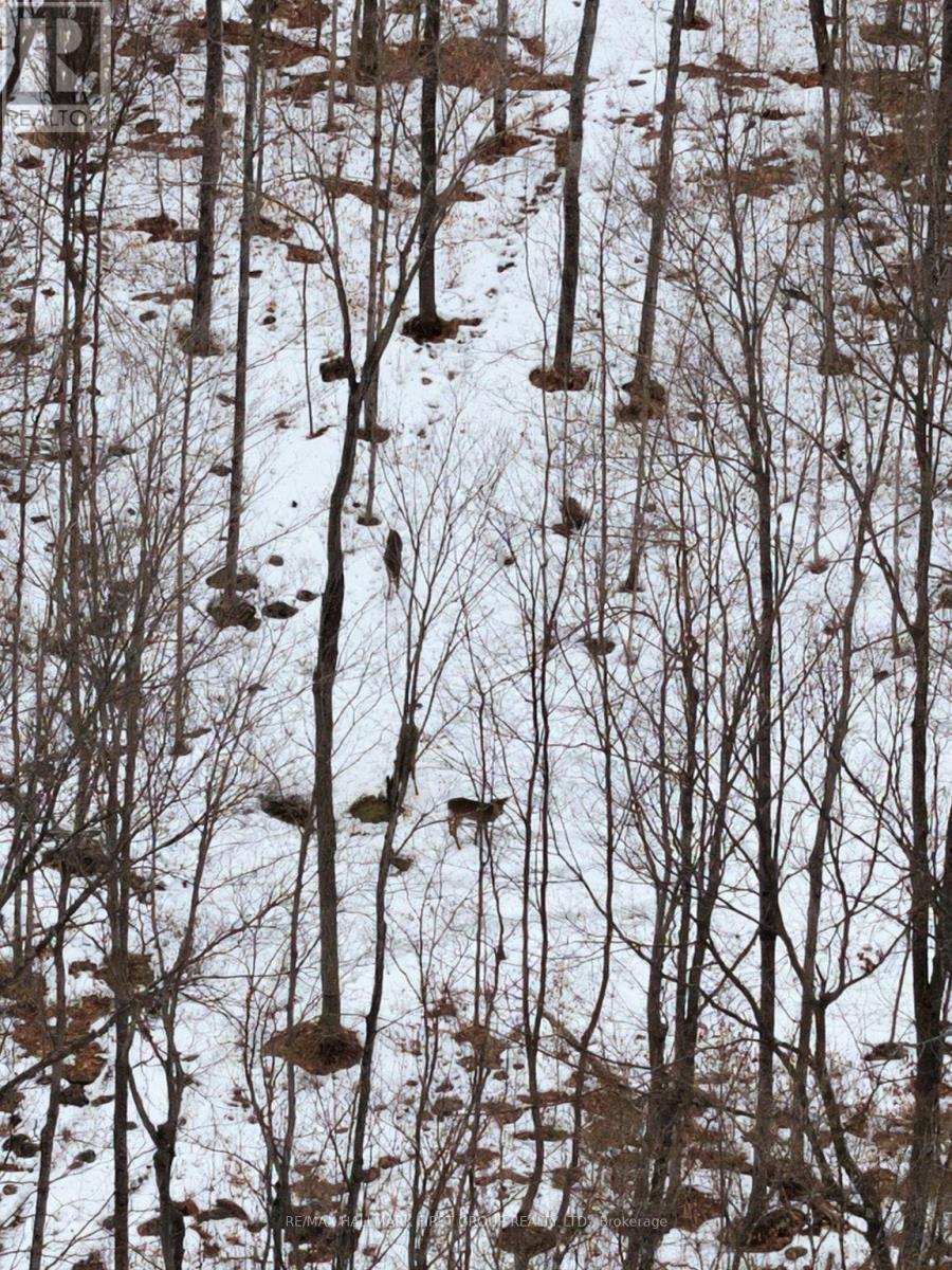 Pt Lt 34 Dennison Road, Tweed, Ontario K0K 2L0 - Photo 35 - X12968286