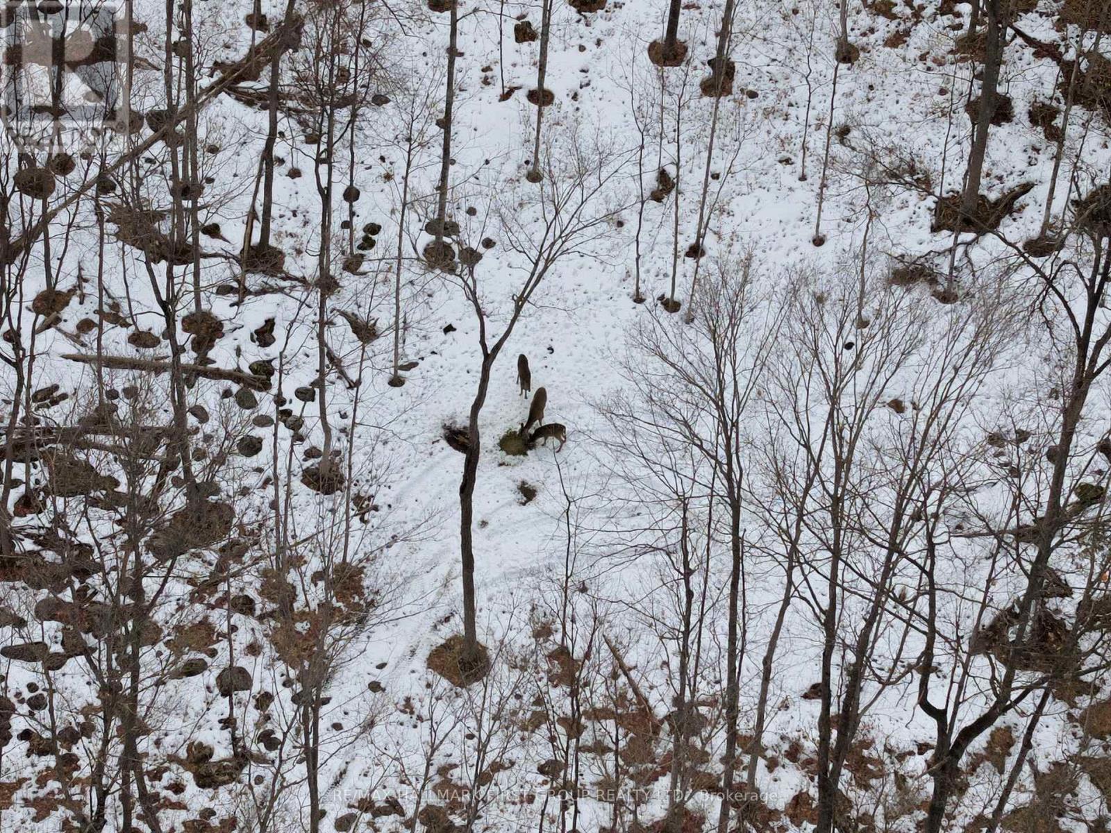 Pt Lt 34 Dennison Road, Tweed, Ontario K0K 2L0 - Photo 36 - X12968286