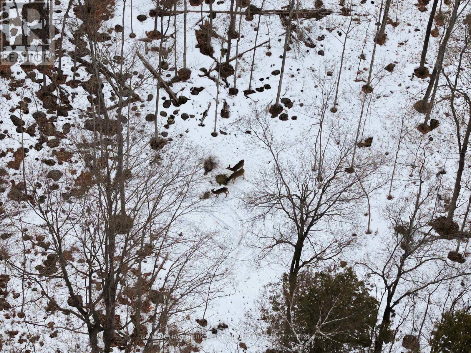 Pt Lt 34 Dennison Road, Tweed, Ontario K0K 2L0 - Photo 37 - X12968286