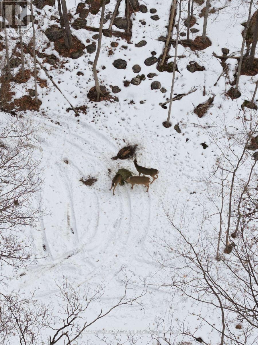 Pt Lt 34 Dennison Road, Tweed, Ontario K0K 2L0 - Photo 38 - X12968286