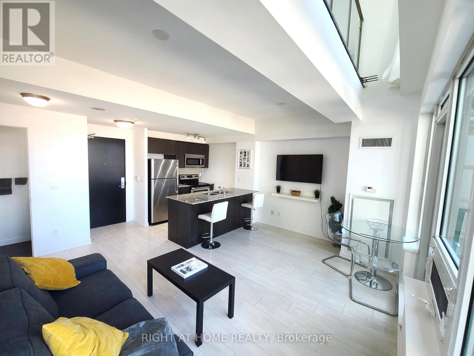 917 - 55 EAST LIBERTY STREET, Toronto, Ontario