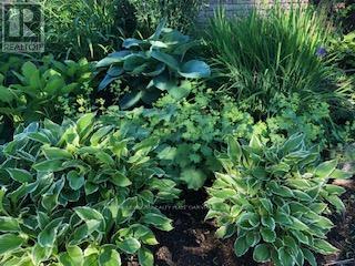 4 - 2066 Brant Street, Burlington, Ontario  L7P 3A6 - Photo 32 - W12968216