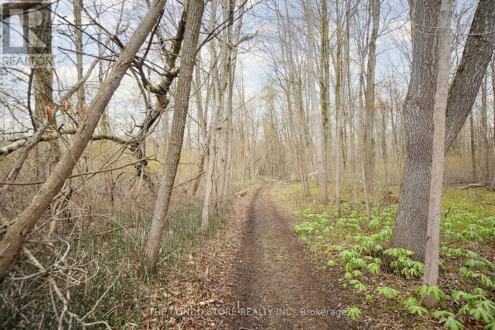 283 Inman Road, Haldimand, Ontario  N1A 2W5 - Photo 13 - X12968228