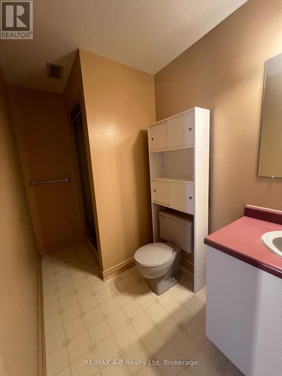 112 - 199 Hope Street E, East Zorra-Tavistock, Ontario  N0B 2R0 - Photo 24 - X12154485