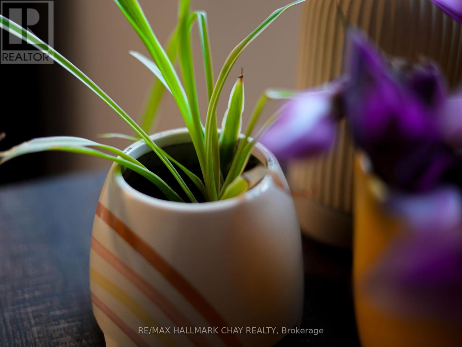 58 Smith Street, New Tecumseth, Ontario  L9R 1Z9 - Photo 27 - N12968388