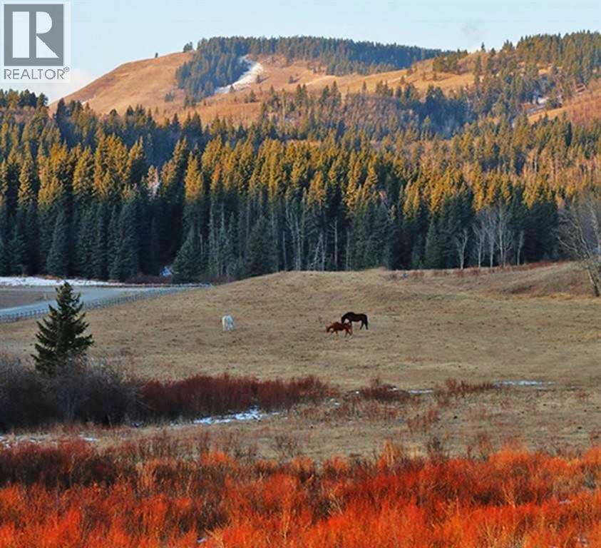 52 Cowboy Trail, Rural Foothills County, Alberta  T0L 1K0 - Photo 45 - A2296548