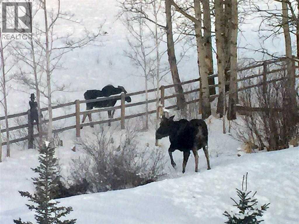 52 Cowboy Trail, Rural Foothills County, Alberta  T0L 1K0 - Photo 32 - A2296548