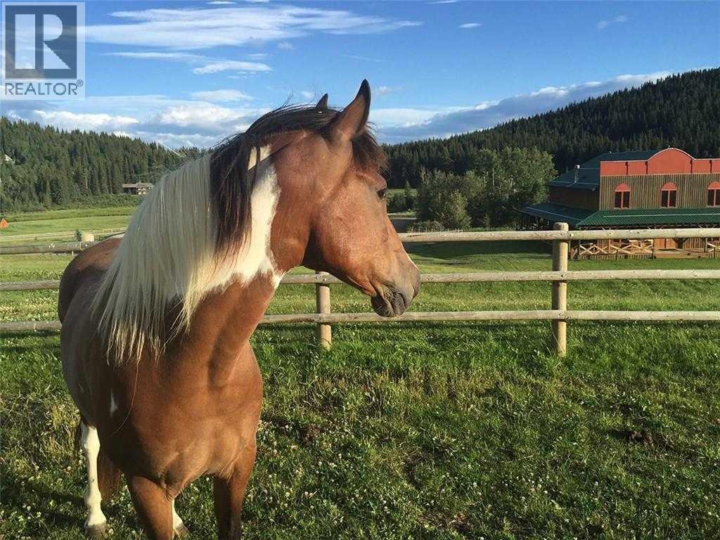 52 Cowboy Trail, Rural Foothills County, Alberta  T0L 1K0 - Photo 40 - A2296548