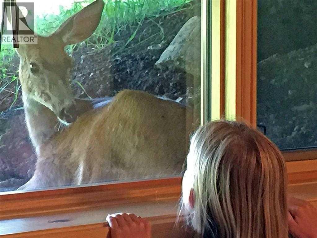 52 Cowboy Trail, Rural Foothills County, Alberta  T0L 1K0 - Photo 25 - A2296548