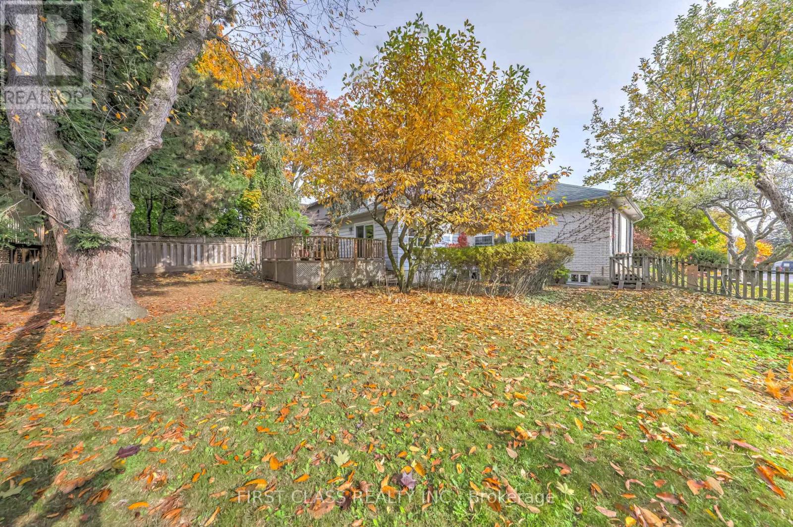 26 York Road, Toronto, Ontario  M2L 1M8 - Photo 29 - C12968512