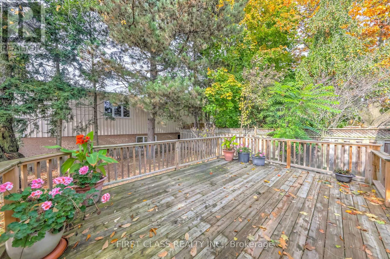 26 York Road, Toronto, Ontario  M2L 1M8 - Photo 36 - C12968512