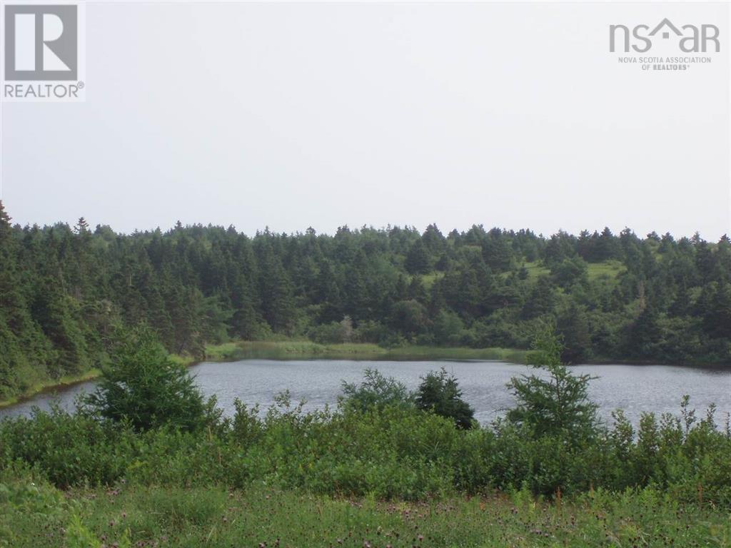 Lot 8-10 Crooked Lake Road, Framboise, Nova Scotia  B2J 1C2 - Photo 12 - 202525123