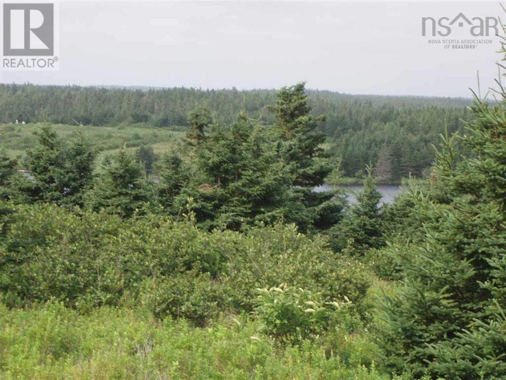 Lot 8-10 Crooked Lake Road, Framboise, Nova Scotia  B2J 1C2 - Photo 11 - 202525123