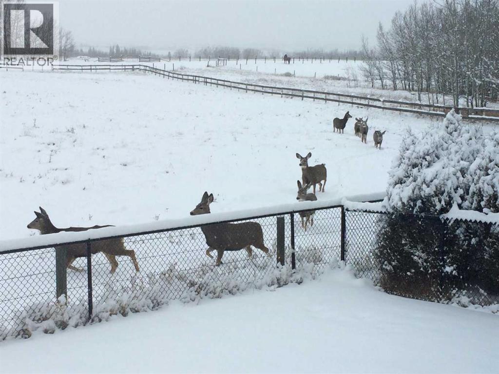 43 Sheep River Heights, Okotoks, Alberta  T1S 2A1 - Photo 45 - A2297277