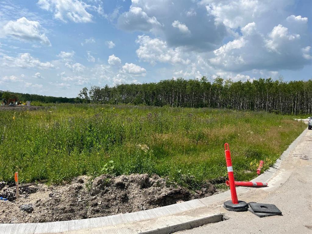 1066 Vaughan Avenue, Selkirk, Manitoba  R1A 4N8 - Photo 1 - 202606429