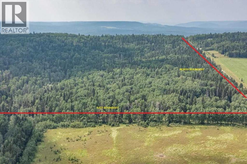 6101 Township Road 314, Rural Mountain View County, Alberta  T0M 1X0 - Photo 12 - A2299267