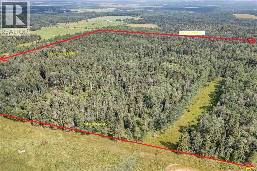 6101 Township Road 314, Rural Mountain View County, Alberta  T0M 1X0 - Photo 9 - A2299267