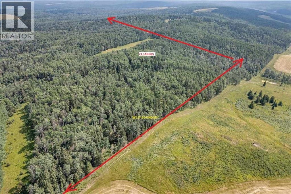 6101 Township Road 314, Rural Mountain View County, Alberta  T0M 1X0 - Photo 10 - A2299267