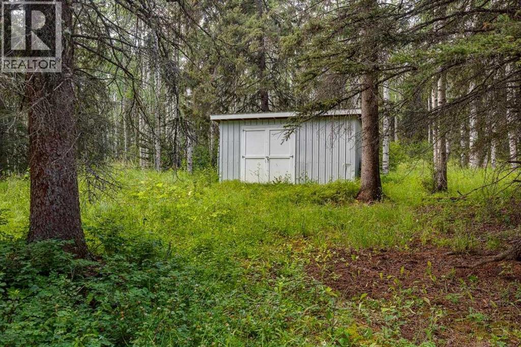 6101 Township Road 314, Rural Mountain View County, Alberta  T0M 1X0 - Photo 48 - A2299267