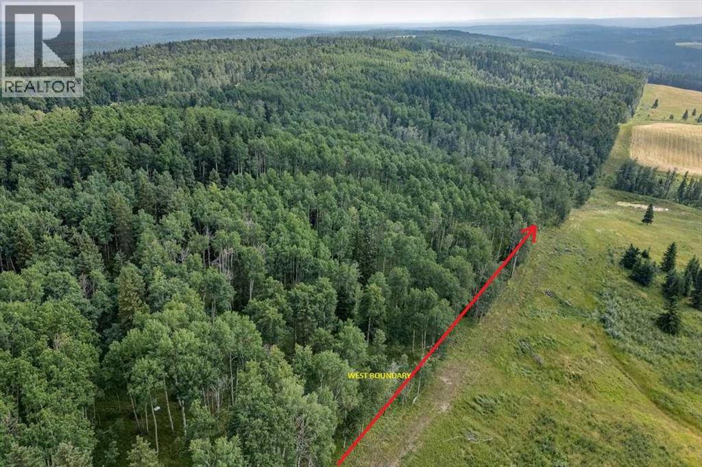 6101 Township Road 314, Rural Mountain View County, Alberta  T0M 1X0 - Photo 6 - A2299267