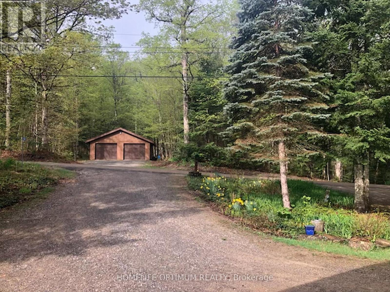 1130 Algonquin Outfitters Road, Algonquin Highlands, Ontario  P0A 1H0 - Photo 11 - X12968692