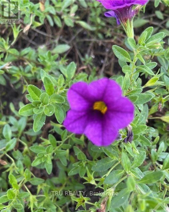 394 Scotch Line Road, North Grenville, Ontario  K0G 1J0 - Photo 14 - X12968856