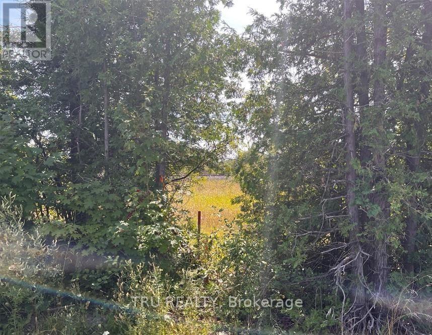 394 Scotch Line Road, North Grenville, Ontario  K0G 1J0 - Photo 6 - X12968856