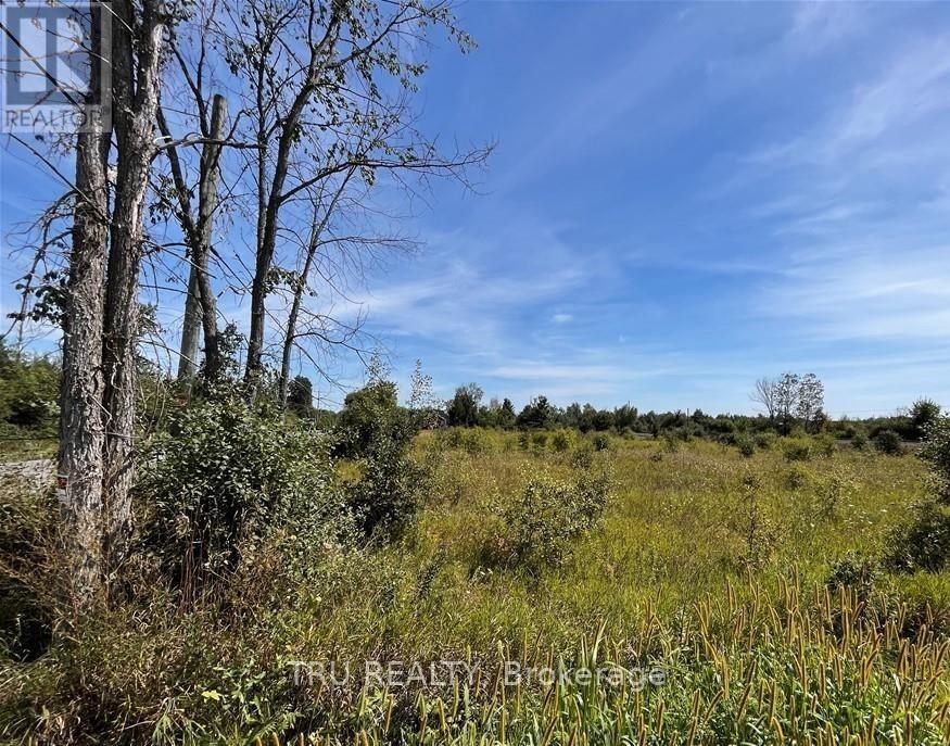 394 Scotch Line Road, North Grenville, Ontario  K0G 1J0 - Photo 7 - X12968856