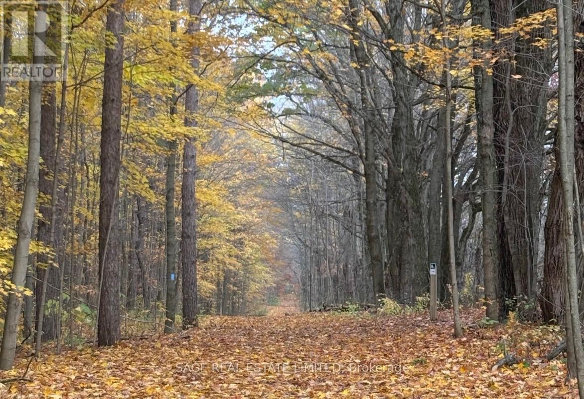 19 Long Stan, Whitchurch-Stouffville, Ontario  L4A 1P5 - Photo 40 - N12969010