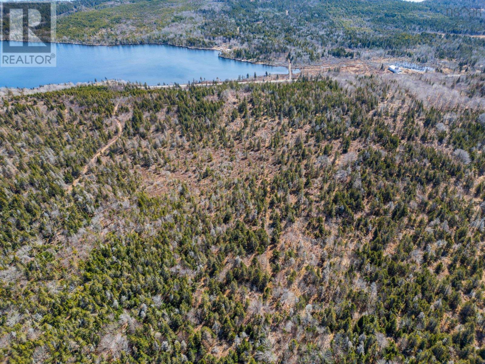 7395 Highway 217, Lake Midway, Nova Scotia  B0V 1A0 - Photo 12 - 202602631