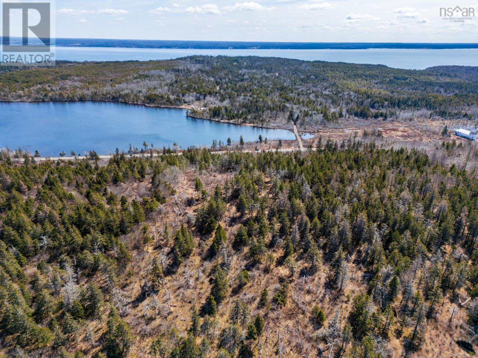 7395 Highway 217, Lake Midway, Nova Scotia  B0V 1A0 - Photo 13 - 202602631